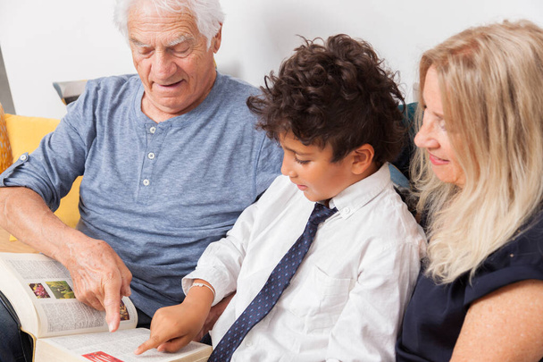 Szerető nagyapa és nagymama unokával együtt olvasnak egy szótárt a kanapén. Fiú könyvet olvas a nagyszülőkkel - Fotó, kép
