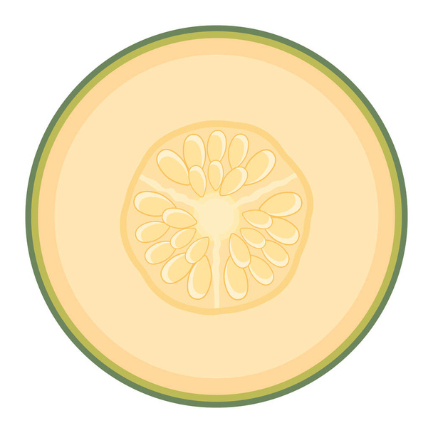 Frische halbe Melonenfrucht isoliert auf weißem Hintergrund. Cantaloupe-Melone. Sommerfrüchte für einen gesunden Lebensstil. Bio-Obst. Cartoon-Stil. Vektorillustration für jedes Design. - Vektor, Bild