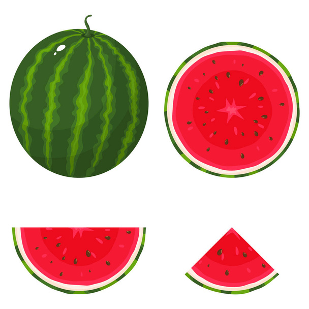 Set van vers geheel, half, gesneden schijfje watermeloen fruit geïsoleerd op witte achtergrond. Zomervruchten voor een gezonde levensstijl. Biologisch fruit. Cartoon stijl. Vector illustratie voor elk ontwerp. - Vector, afbeelding