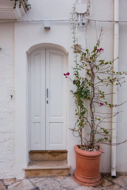 Door. Polignano. Puglia. Italy. - Photo, Image