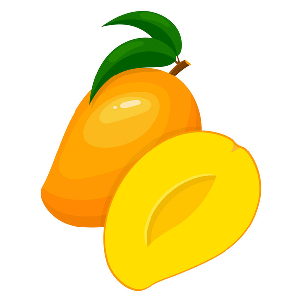 Taze, parlak, egzotik bir bütün ve beyaz arka planda yarım mango. Sağlıklı yaşam için yaz meyveleri. Organik meyve. Çizgi film tarzı. Herhangi bir tasarım için vektör illüstrasyonu. - Vektör, Görsel