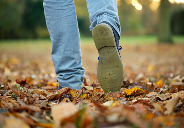 Caminhando com botas em folhas de outono
 - Foto, Imagem