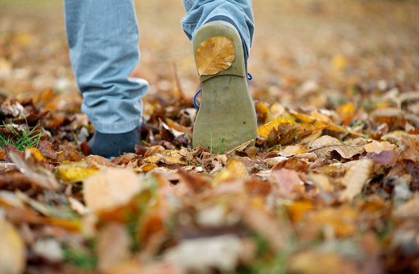 mužské boty, na podzim listí venku - Fotografie, Obrázek