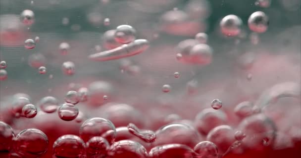 Burbujas púrpuras en agua. Primer plano de vídeo de burbujas en líquido
.  - Metraje, vídeo