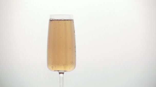 pours champagne slowly into a glass - Materiał filmowy, wideo