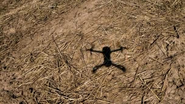 Getta l'ombra di un drone sparato da un drone dall'alto su un campo luminoso
. - Filmati, video