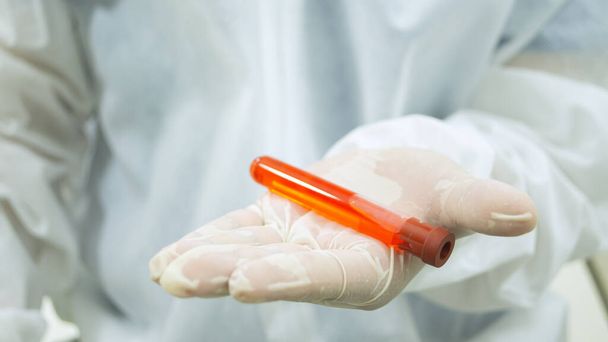 Lekarz w białym kombinezonie biologicznym trzymający w dłoni 1 probówkę z próbką krwi na pierwszym planie i wpatrujący się w nią uważnie na białym tle - Zdjęcie, obraz