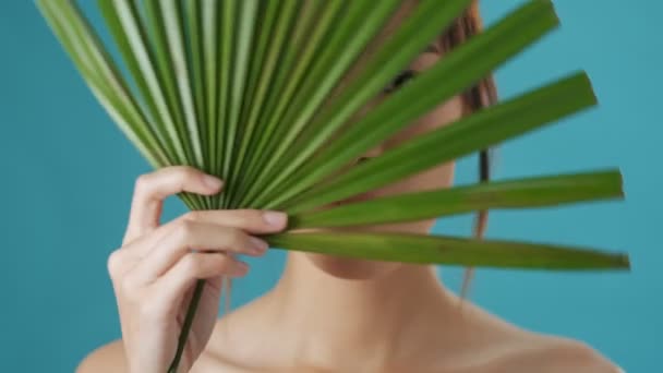 An emotional young asian woman is holding a green plant leaf while covering her face with it and showing different emotions over blue wall background - Metraje, vídeo