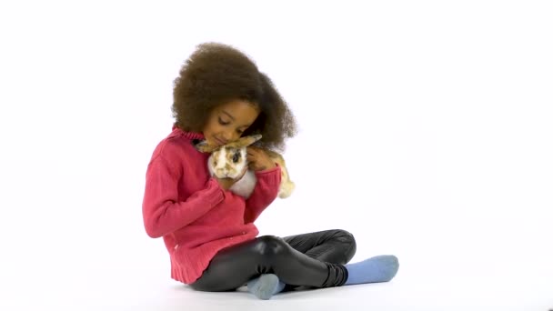Little african curly girl is hugging three colored rabbit at white background. Slow motion - 映像、動画