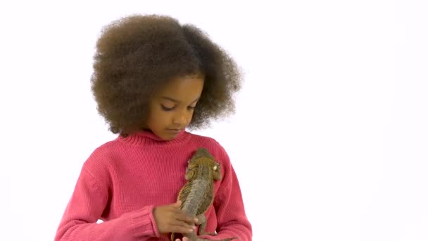Little african curly girl is holding and stroking Bearded agama at white background. Slow motion - Séquence, vidéo