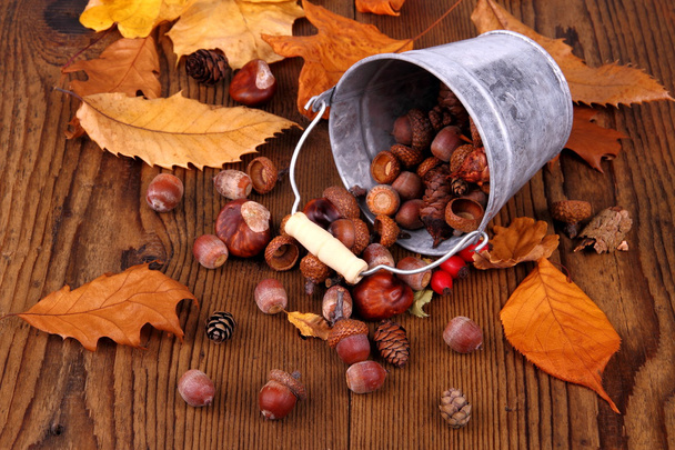 zink emmer met gedistribueerde acorn, kastanje en rozenbottels - Foto, afbeelding