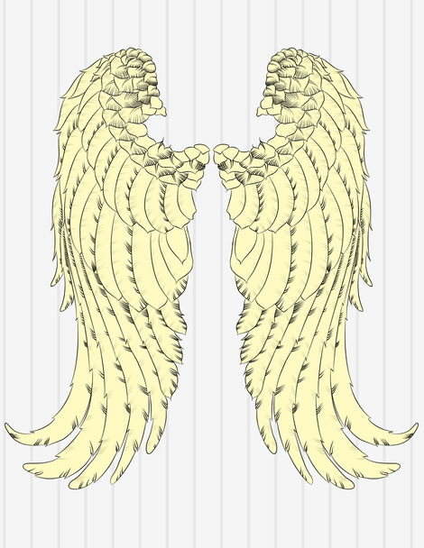 Illustration Vector Hand Drawn Angel Wings. - Vector, Image