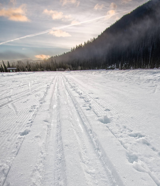 Cross Country Ski Tracks Going Into Distance Forest - Photo, Image