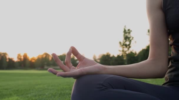 Hände eines Mädchens in namaste mudra-Pose beim Meditieren auf grünem Gras bei Sonnenuntergang. - Filmmaterial, Video