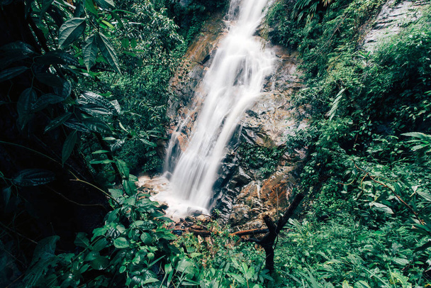 soft water of the stream in the natural park, Beautiful waterfall in rain forest - Photo, Image