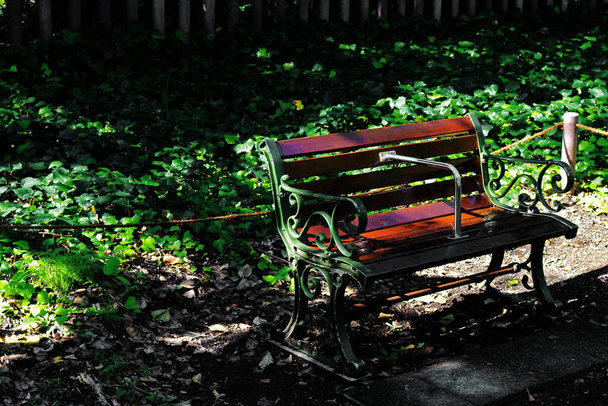 Paysage d'un banc vintage en fer et bois sur le trottoir du parc
 - Photo, image