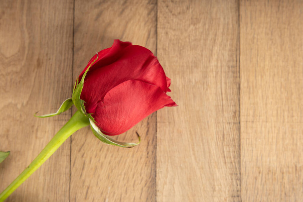 Red rose on wooden background. Background for valentines and woman day. Wedding decoration - Foto, immagini