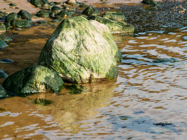 Meer, Ufer und Felsen, große Felsen an einem sandigen Ufer vor dem Hintergrund der Ostsee - Foto, Bild