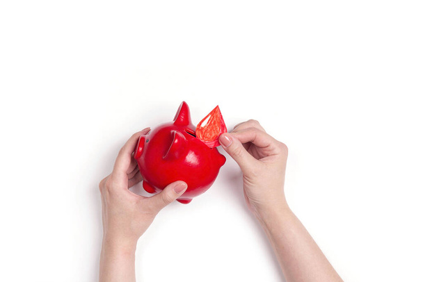 Female hand puts a drop of blood in a piggy bank as a donation. Blood donor. World Blood Donor Day. - Photo, image