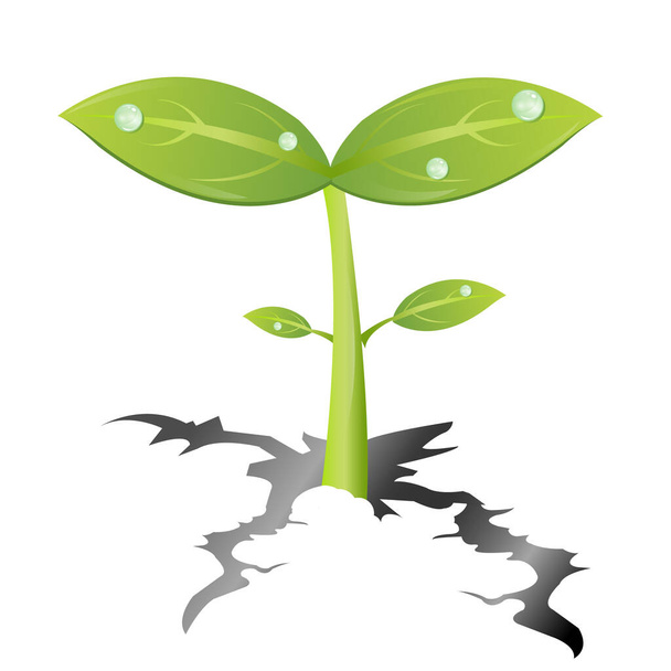 Векторна ілюстрація зеленої рослини
 - Вектор, зображення