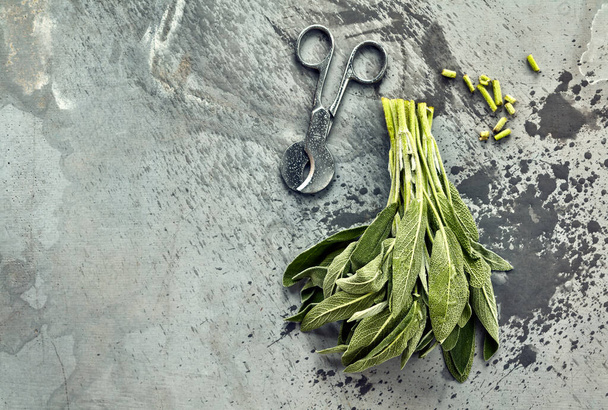 bunch of fresh sage on a concrete table - Foto, immagini