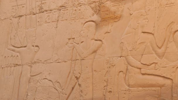 Faraon z dużą koroną - Materiał filmowy, wideo