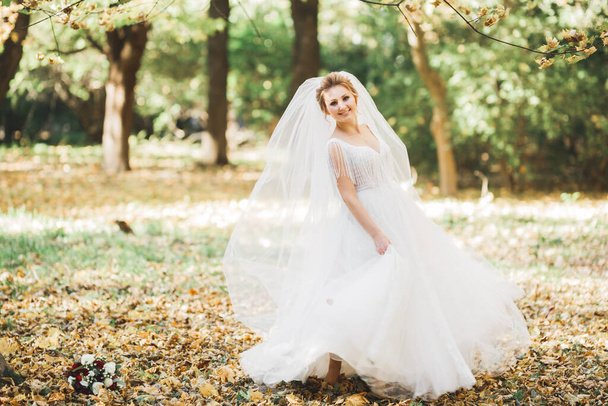 Beautiful luxury young bride in wedding dress posing in park - Foto, imagen