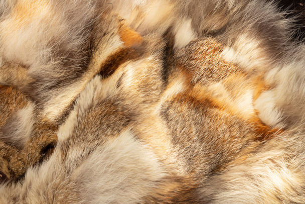 fur coat from pieces of fur of different animals as a background - Photo, Image