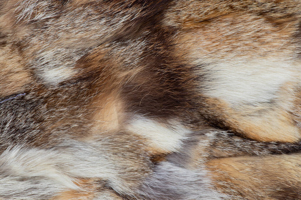 abrigo de piel de trozos de piel de diferentes animales como fondo
 - Foto, Imagen