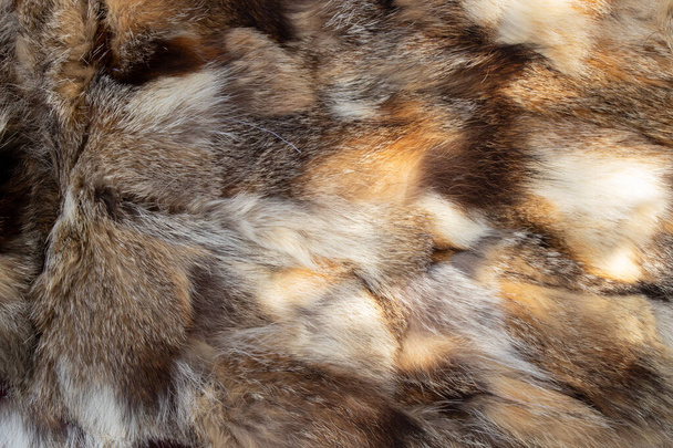 casaco de pele de partes de pele de animais diferentes como um contexto
 - Foto, Imagem