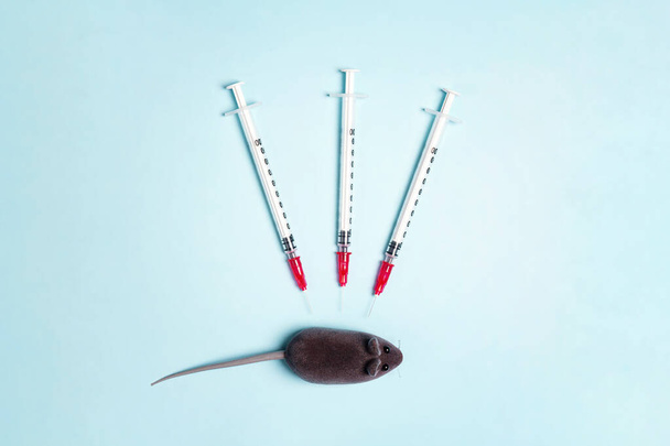 Laboratory mouse and several syringes on a blue background. The concept of testing and research on new drugs in animals. World Day for Laboratory Animals, 24 april. - Fotó, kép