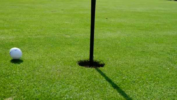 field does golf hole and ball that goes into the hole - Footage, Video
