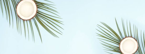 Tropical banner for the site with palm branches and coconuts. - Foto, afbeelding