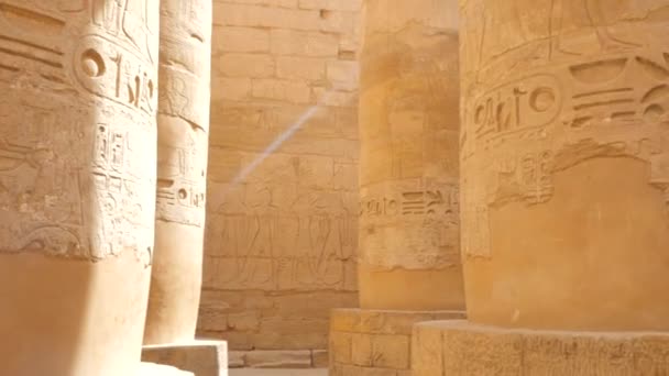 Säulenhalle mit Hieroglyphen - Filmmaterial, Video