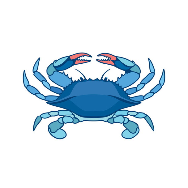 Blue Crab σε λευκό φόντο σε στυλ ακουαρέλα. Ρεαλιστικό, καλλιτεχνικό, έγχρωμο σχέδιο ενός μπλε καβουριού. Εικονογράφηση διανύσματος. - Διάνυσμα, εικόνα