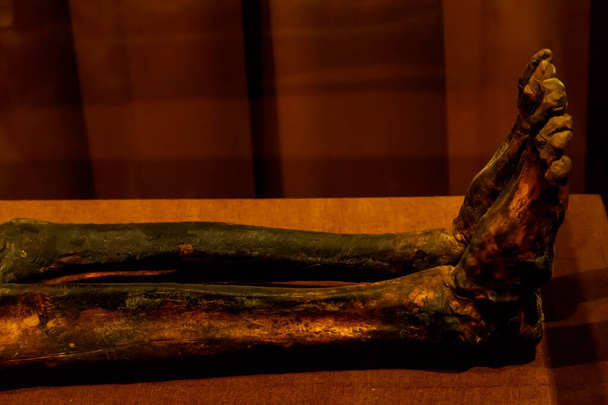 古代のミイラの足を閉じる - 写真・画像