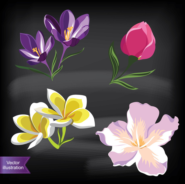 Set of realistic flowers, isolated on black background. - ベクター画像
