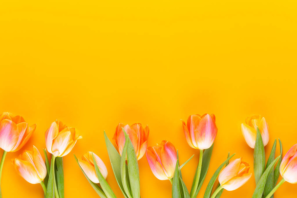 Gele pastels kleur bloemen op gele achtergrond.Wachten op de lente. Gelukkige Pasen kaart. Vlakke lay, bovenaanzicht. Kopieerruimte. - Foto, afbeelding