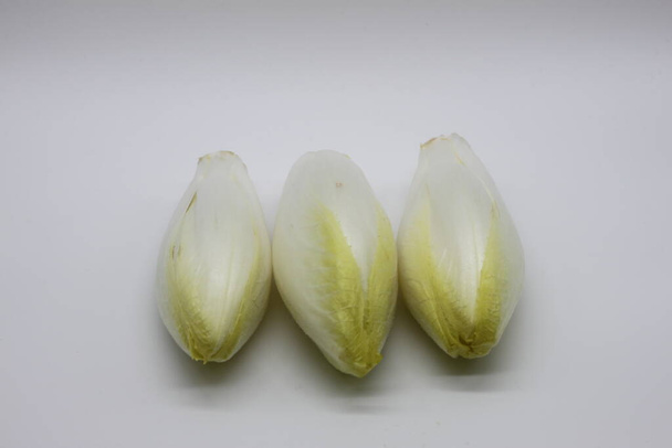 fresh and clean endives on white background - Photo, image