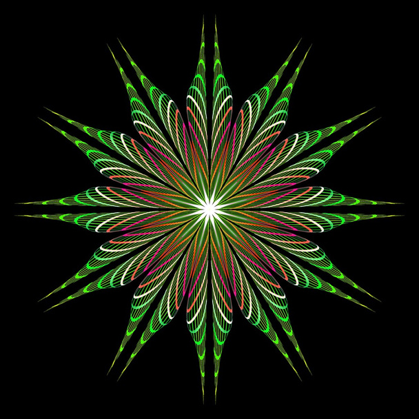 Абстрактне фрактальне зображення, що нагадує пухку барвисту зіркову квітку
 - Фото, зображення