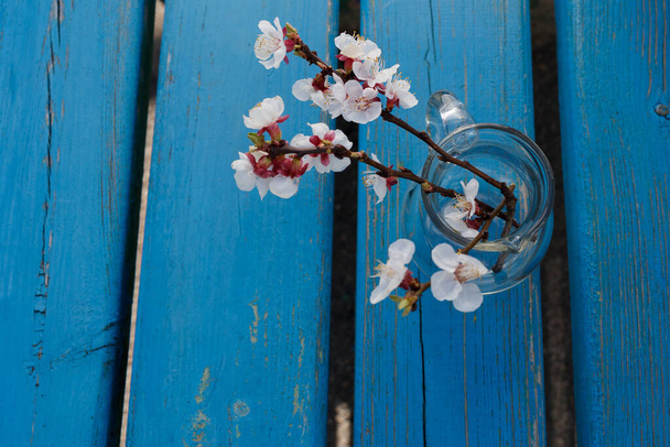 Flowering apricot branch, small white delicate flowers in a transparent glassy round vase on a blue shabby wooden background. There is a place for text. Shabby chic style. Concept fot Valentine's Day - Photo, Image