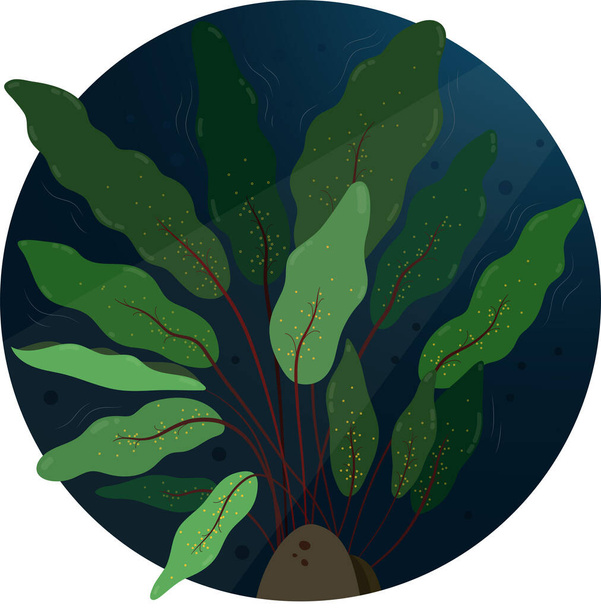 Ilustracja wektora podwodnego rośliny - Wektor, obraz
