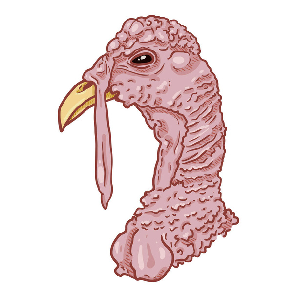 Vector Cartoon Head of Turkey Bird on WHite Background - Vector, Image