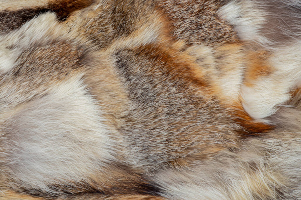 manteau de fourrure de morceaux de fourrure de différents animaux comme fond
 - Photo, image