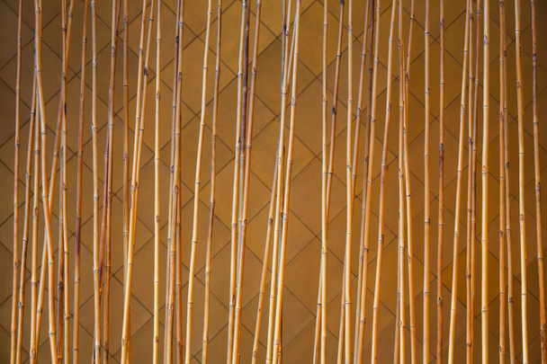 Bambuszaun - Foto, Bild