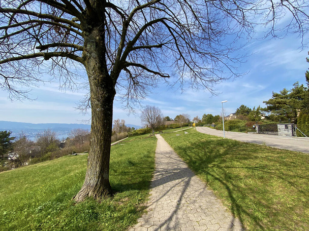 Sentiers pour la marche, le sport et les loisirs à travers les pâturages et les colonies au-dessus du lac de Zurich (Zurichsee ou Zuerichsee), Erlenbach - Canton de Zurich ou Zuerich, Suisse
 - Photo, image