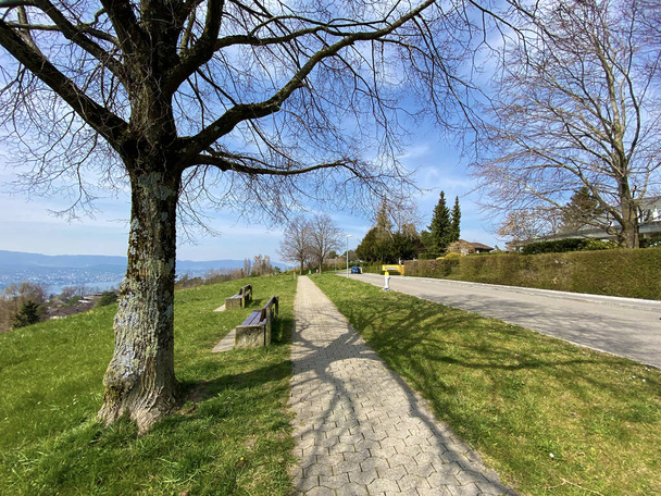 A Zürichi-tó (Zürichsee vagy Zuerichsee) feletti legelőkön és településeken (Erlenbach - Zürichi kanton vagy Zuerich, Svájc) való gyaloglás, sport és rekreáció útjai - Fotó, kép
