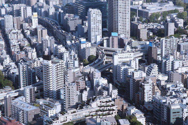 Panoramisch uitzicht op de skyline van Tokio - Foto, afbeelding