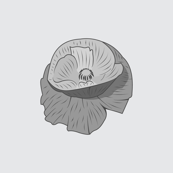 Lily Flower Logo Icon, vector illustration - Vetor, Imagem