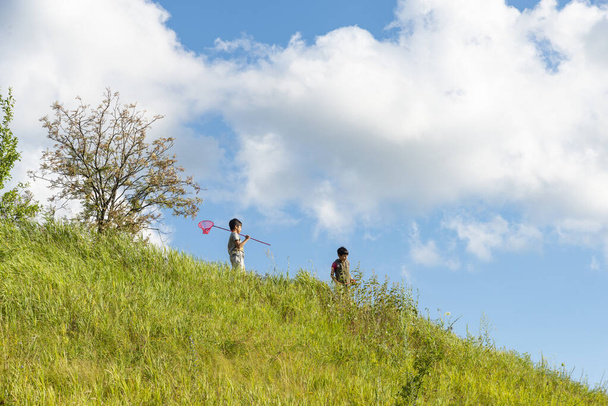 Shot van twee jonge jongen wandelen op de berg op heldere lente of een zomerdag. Ze vangen vlinders of insecten met een vlindernet. Gelukkige jeugd concept - Foto, afbeelding